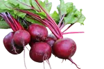 Beetroot