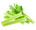 Celery