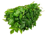 Curry Leaves