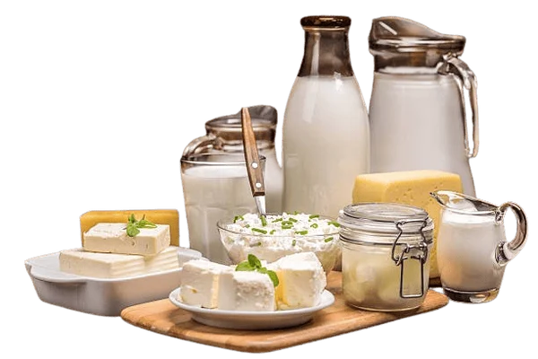 DAIRY & MILK PRODUCTS