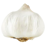 Garlic Whole Big