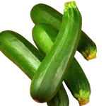 Green Zucchini