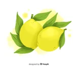Lemon (Desi Nimbu)