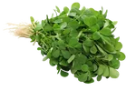 Methi (Fenugreek Leaf)