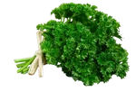 Parsley