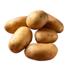 Potato