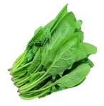 Spinach / Palak