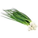 Spring Onion / Kanda Patta